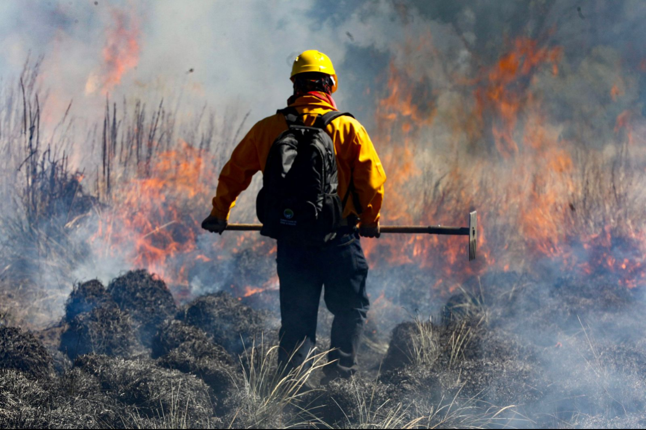 Campeche podría enviar combatientes de incendios a California