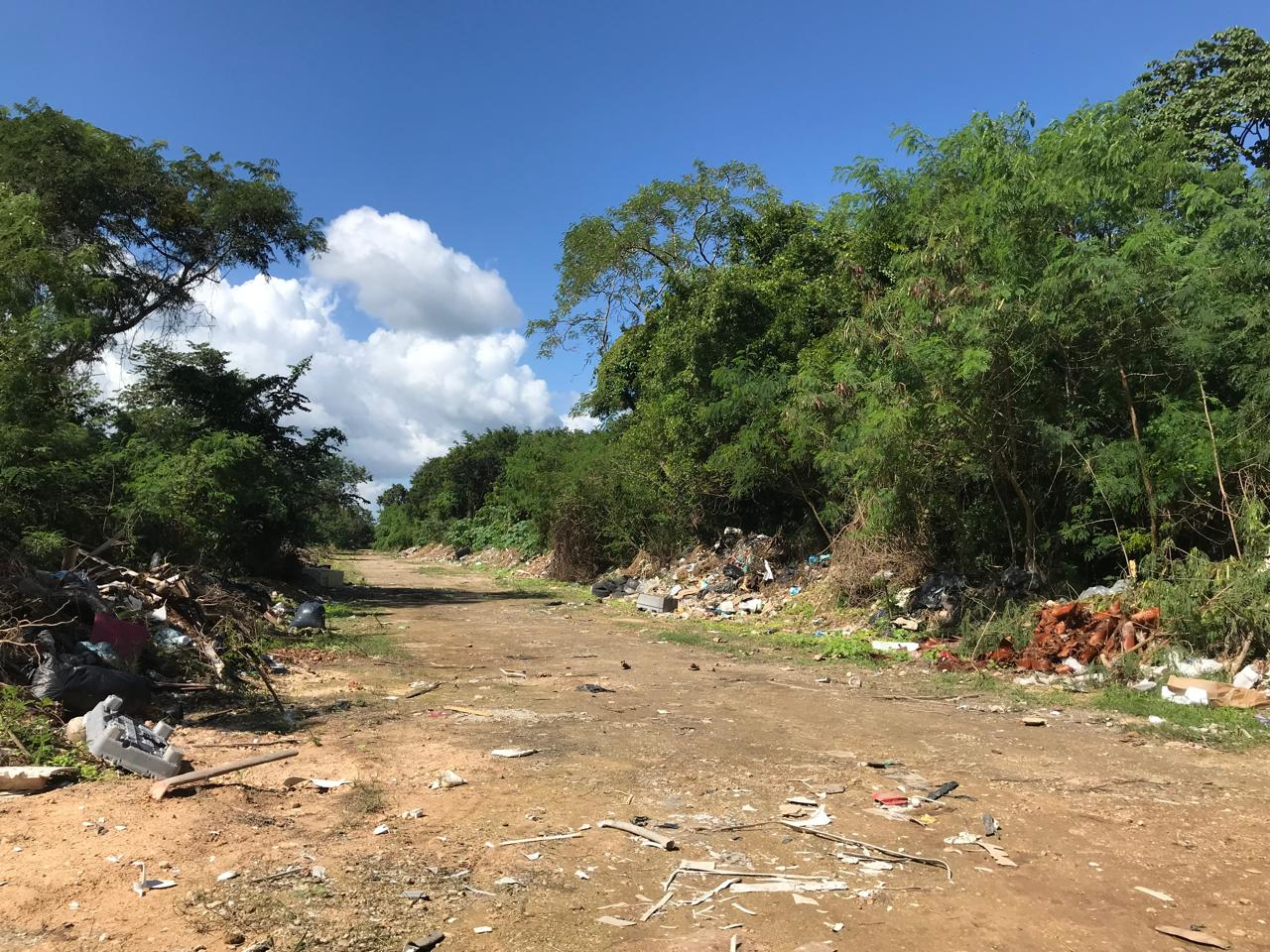 Falta de recolección de basura amenaza a la salud de los ciudadanos.