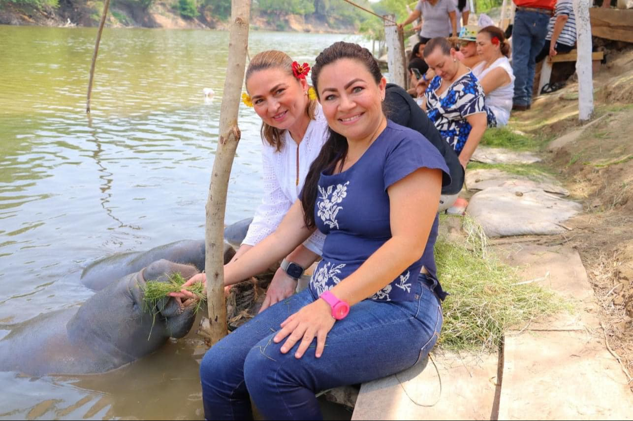 A través de la educación ambiental y el ecoturismo, la iniciativa buca proteger al mamífero marino