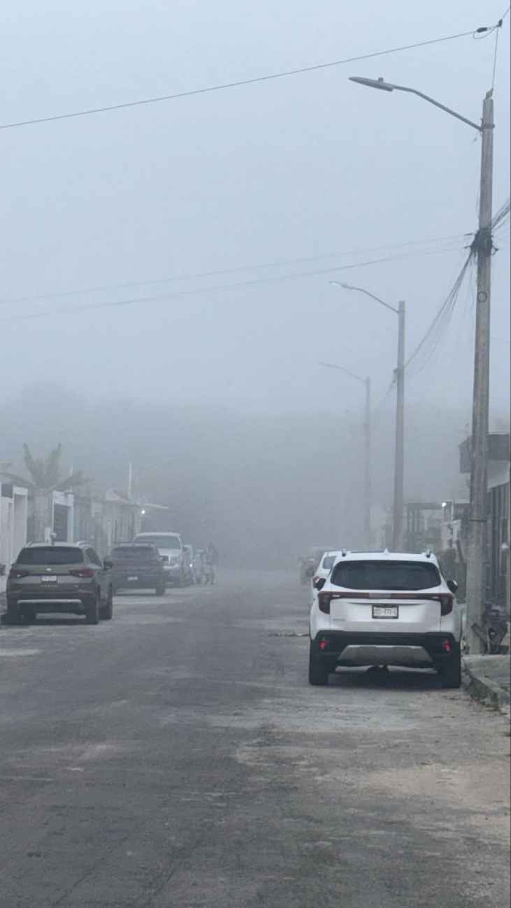 La neblina es un fenómeno que se presenta principalmente en la mañana y noche.