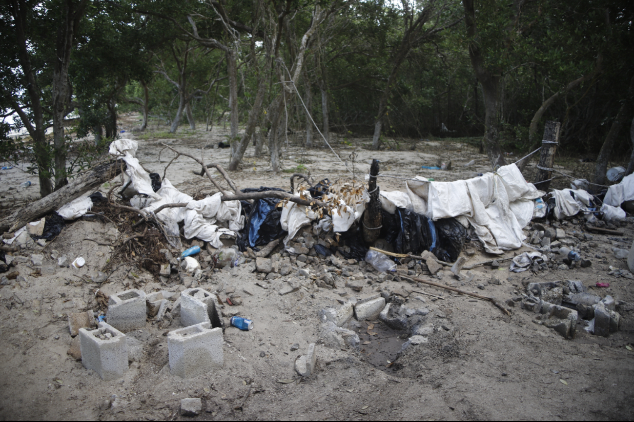 Pescadores de pepino de mar destruyen flora y fauna de la costa, en Dzilam de Bravo