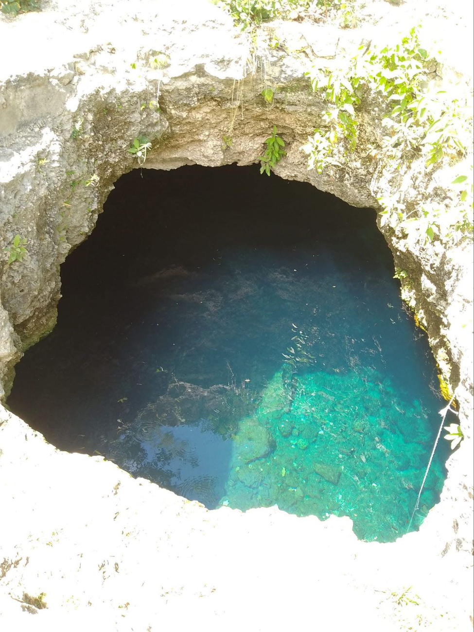 Alumno de la UADY de de Derecho muere ahogado en el cenote de la universidad.