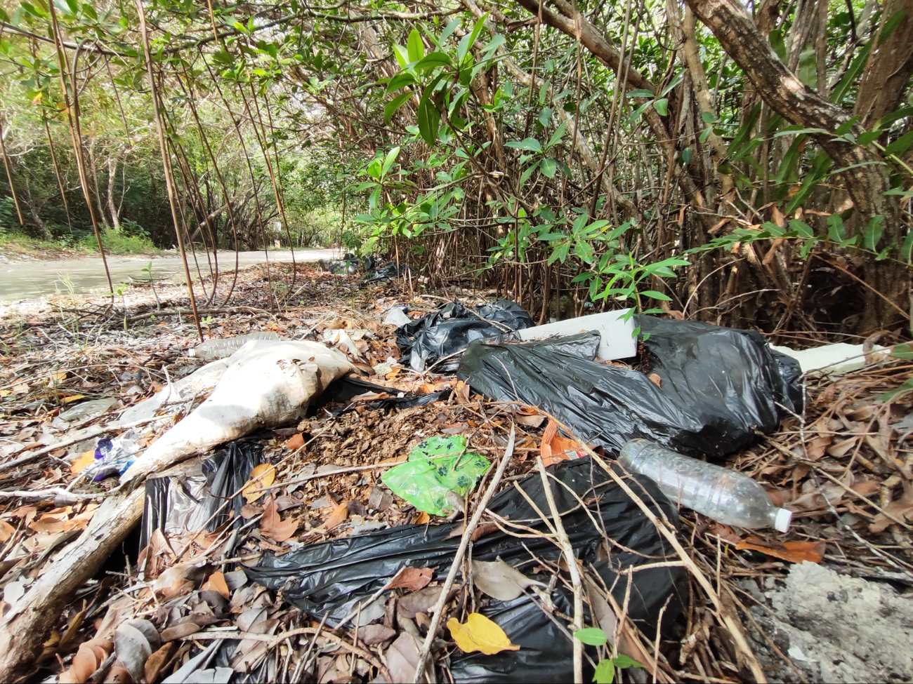 En la laguna abundan materiales reciclables, como plásticos, evidencia la falta de conciencia ambiental de la gente