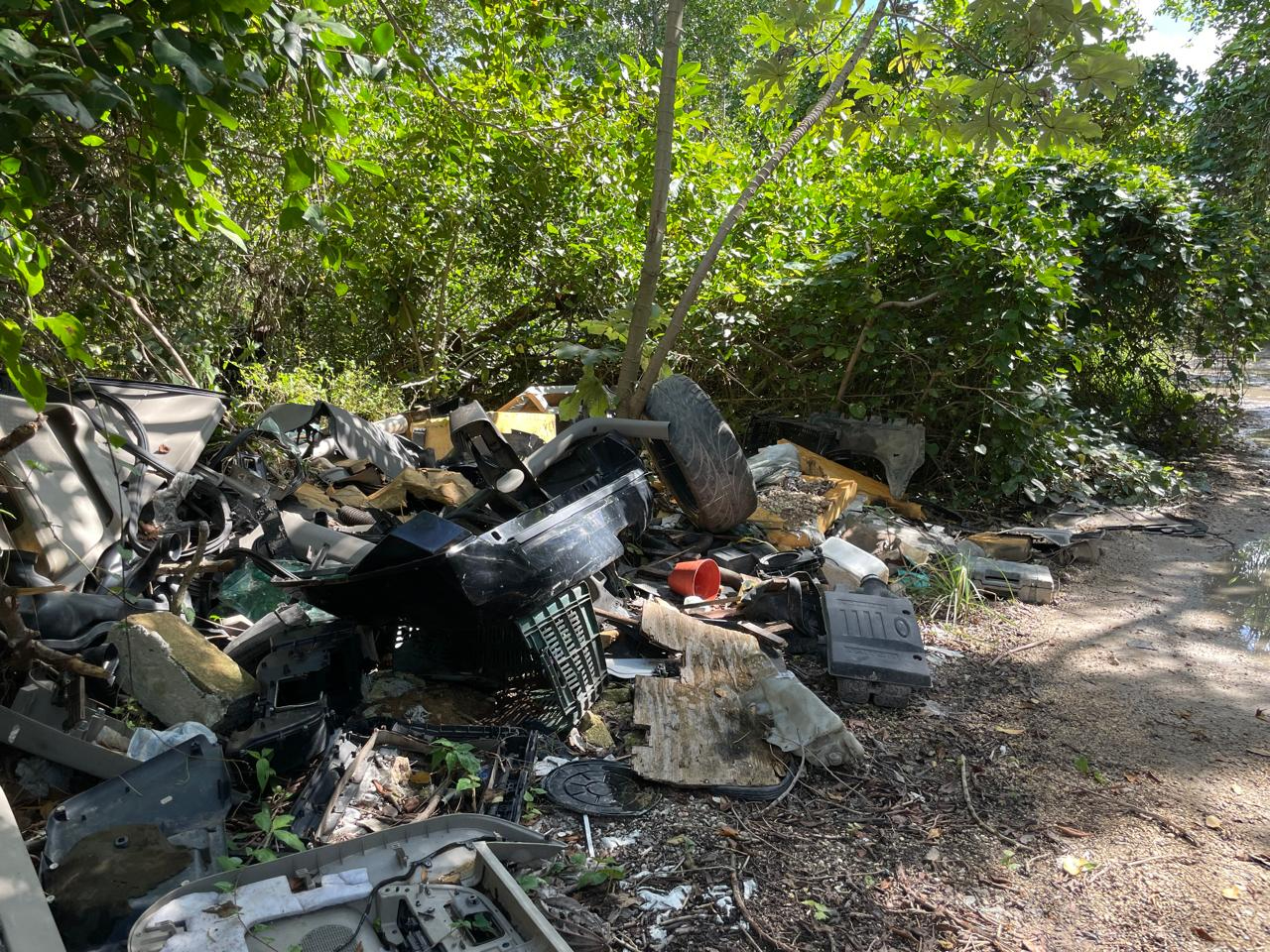 La falta de mantenimiento y limpieza del área podría traer consecuencias al medio ambiente