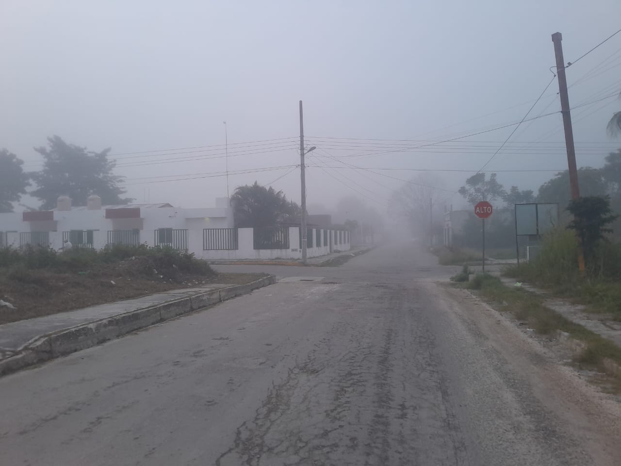 La neblina comenzó a disiparse pasadas las 8:00 horas