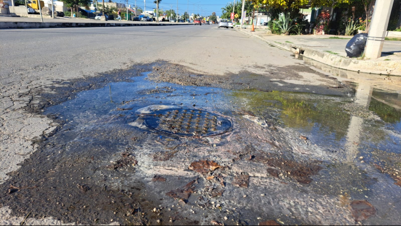 Olores fétidos y verdín afectan a los habitantes