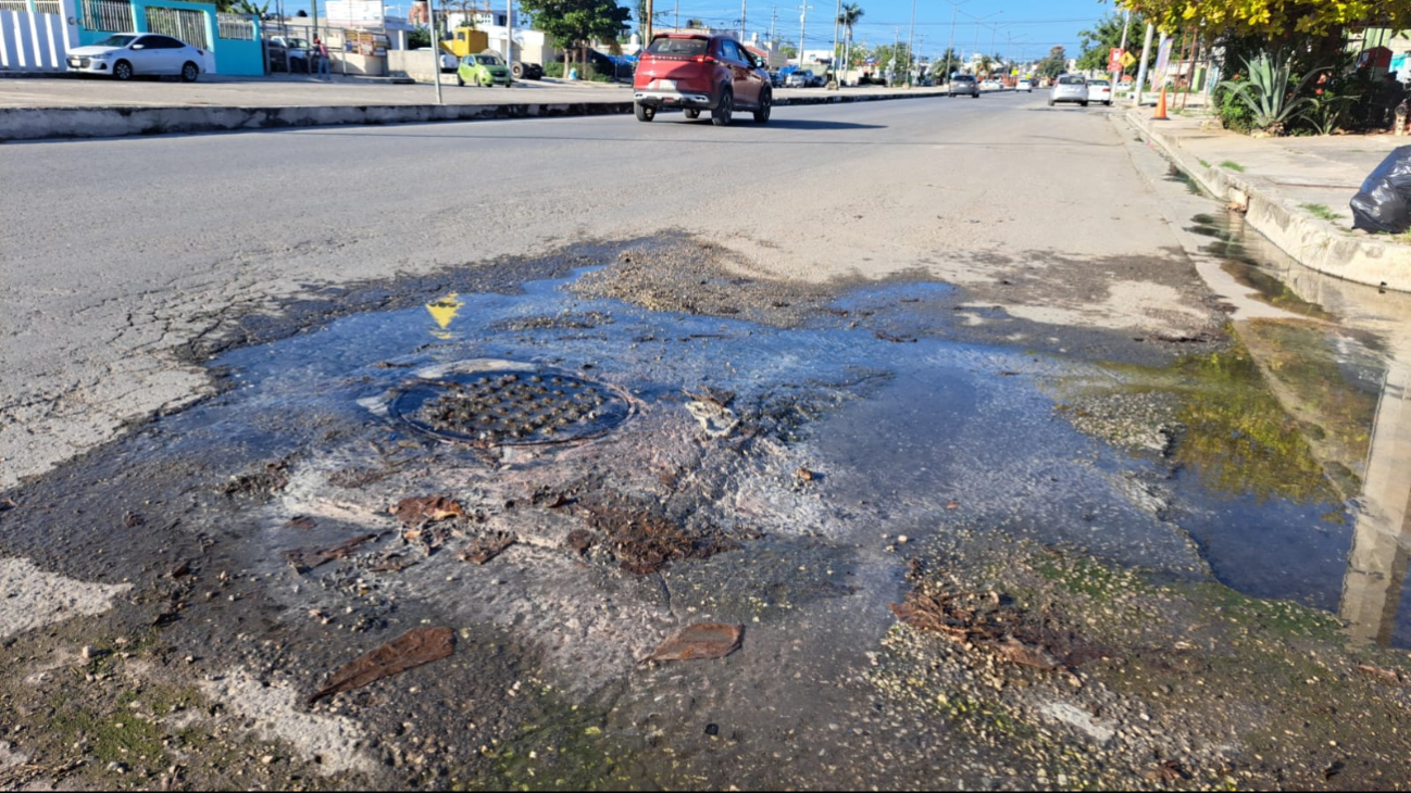 Vecinos piden solución al Ayuntamiento de Campeche, pero son ignorados