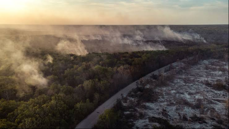 Alistan estrategias previo a la temporada de incendios forestales