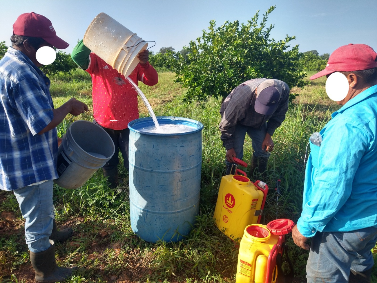 El producto que se usa para el control de plagas ha estado dañando el manto freático y las tierras de cultivo