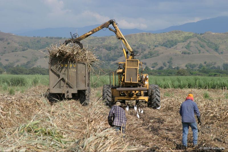 Este problema de la producción sigue persistiendo.