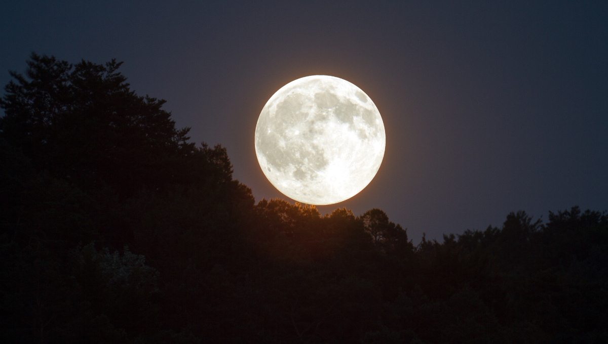 La Luna Llena se observará el 13 de enero, también conocida como Luna de Lobo