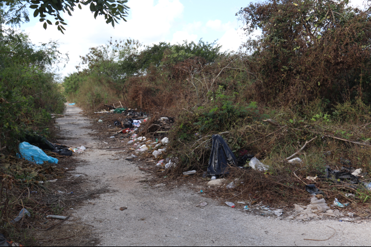 Ayuntamiento multaría a dueños de más de 600 terrenos baldíos en Mérida 