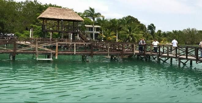 Santuario del Manatí es un sitio importante para la preservación de la especie