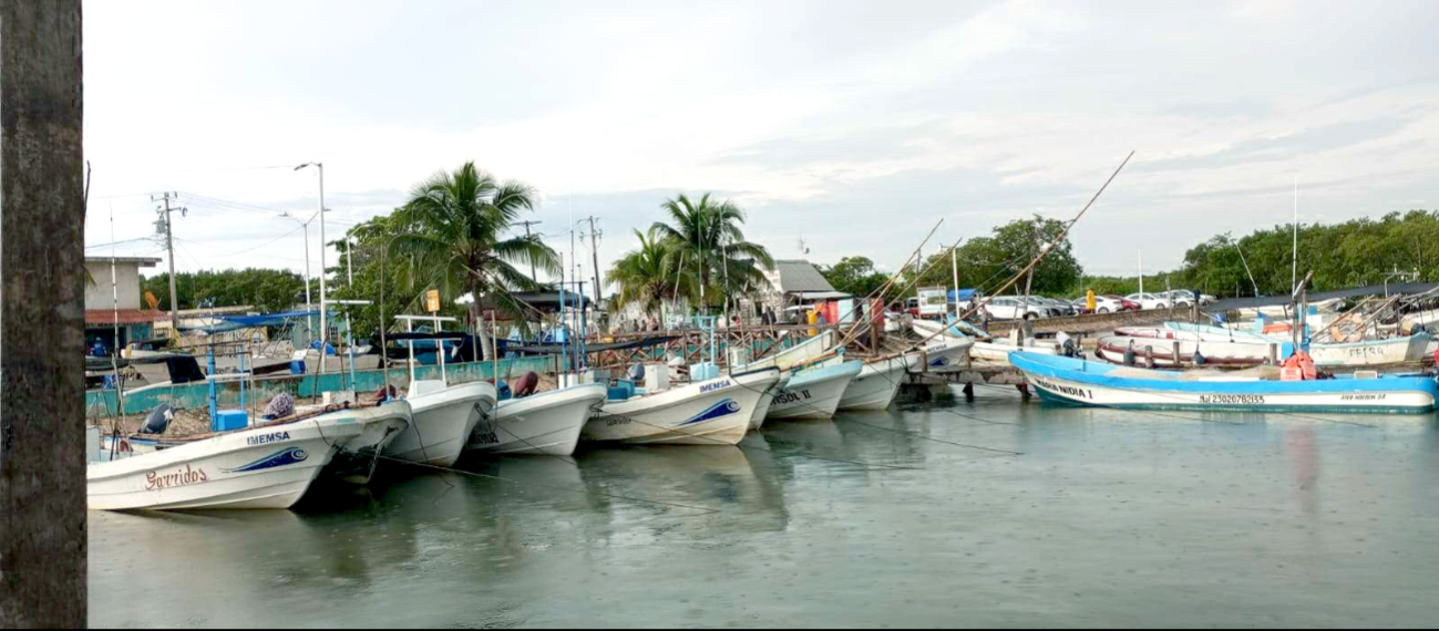 Cerca de 150 prestadores de servicios y 600 marinos se quedaron en tierra debido a las adversas condiciones del tiempo, en Lázaro Cárdenas