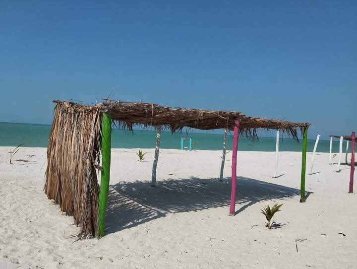 La renta de estos espacios es lucrativo en una comunidad que posee decenas de kilómetros de playa y queda cerca de Ciudad del Carmen.