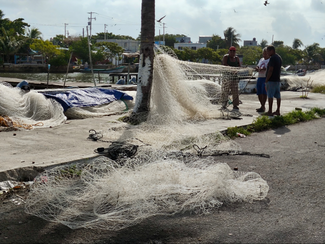 Veda y mal tiempo agravan situación económica de pescadores ribereños de Ciudad del Carmen