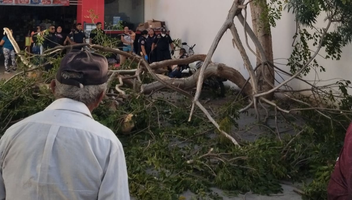 El hombre fue trasladado a un hospital de Mérida, donde se reportó como estable