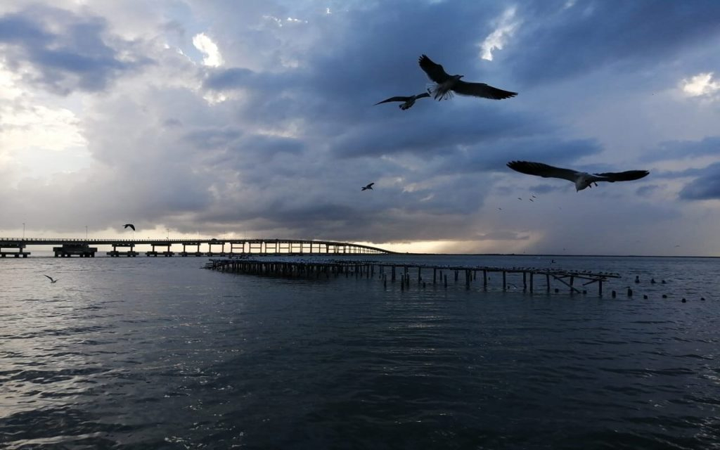 La Laguna de Términos, en Campeche, es la laguna más grande del estado