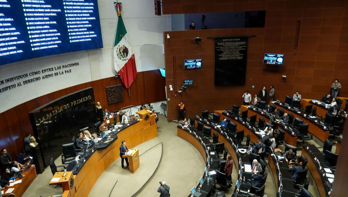 Los senadores manifestaron su preocupación por medidas que podrían transformar la relación bilateral