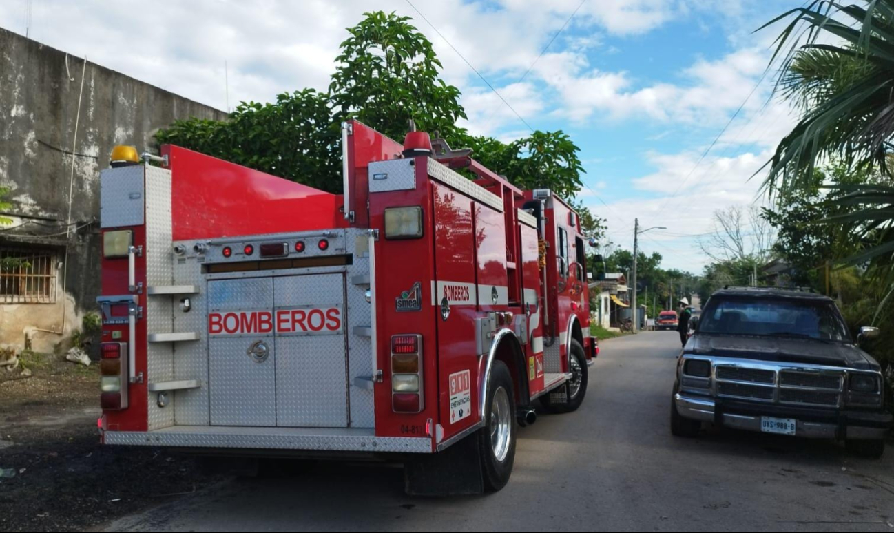 Debido a la conducta de las abejas, bomberos no lograron la captura de la colonia, por lo que pidieron a los vecinos no salir de sus casas.