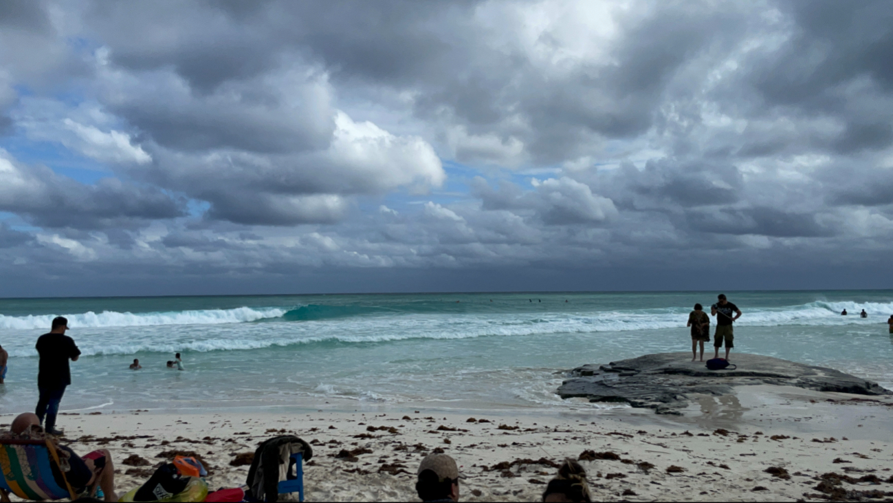 Alertan avistamiento de tiburón toro en Playa Chac Mool de Cancún