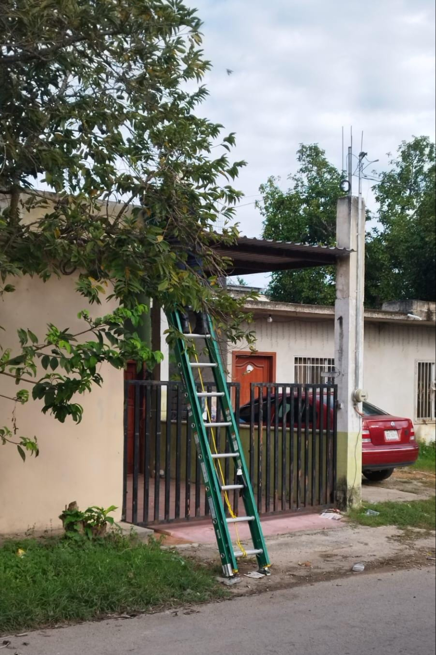 Habitantes de la colonia deberán esperar unas horas para el traslado del panal