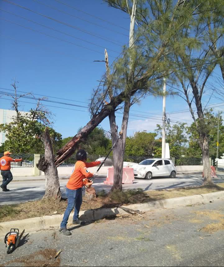 Más de 12 afectaciones por frente frío 24