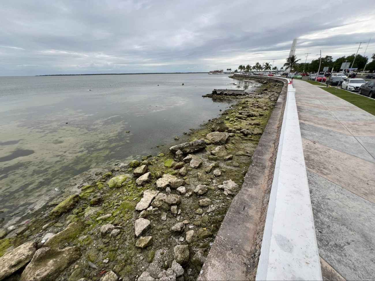 El agua de la bahía se retira hacia el interior.