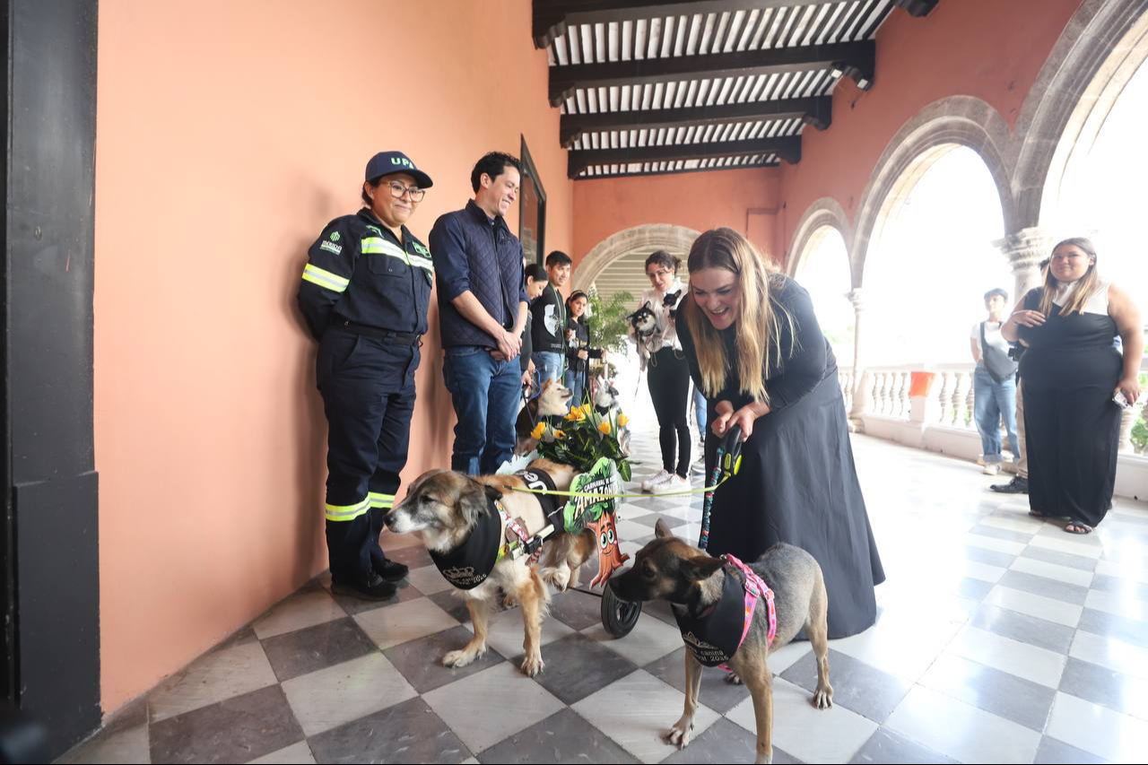 Presentan a las Reinas y Reyes Caninos del Carnaval de Mérida 2025