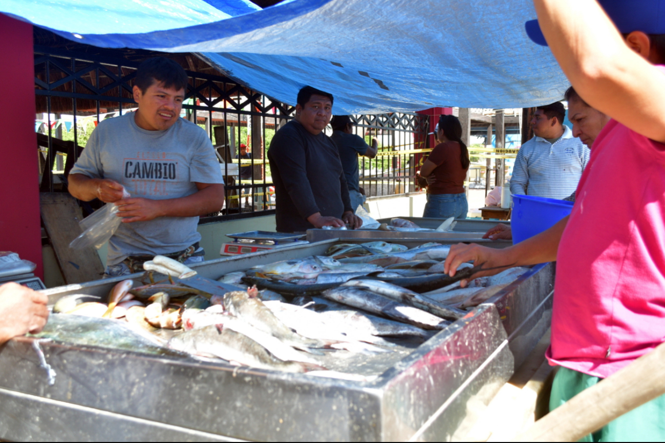 "Sobre la banqueta" pescadores del 7 de agosto en Campeche, venden sus productos, tras voraz incendio