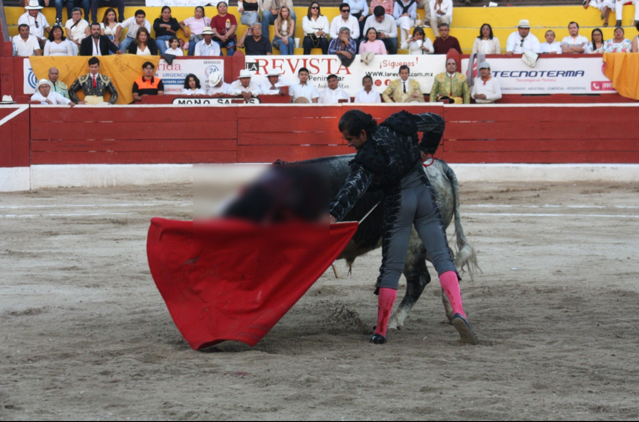 Joselito Adame y Sebastián Castella encabezaron las actividades