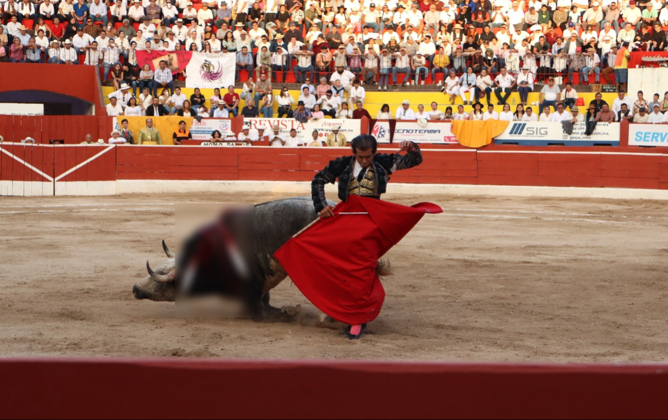 La fiesta brava se celebró en la Plaza de Toros de Mérida