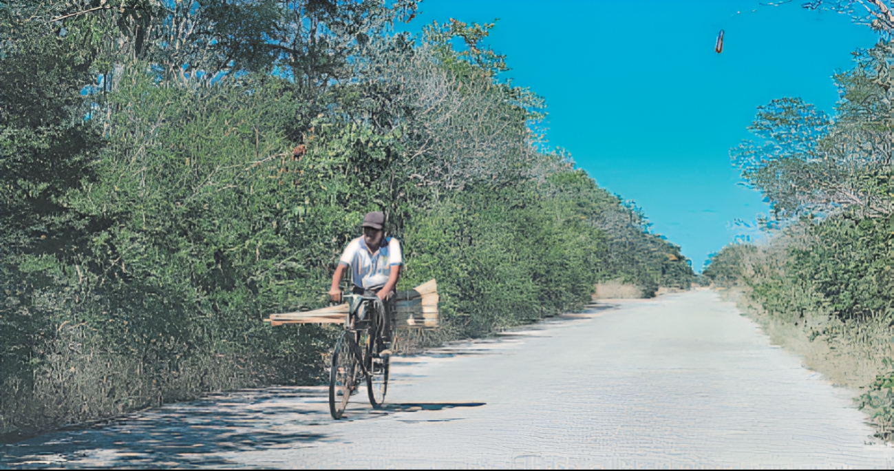 Desaparición del Programa de Empleo Temporal deja carreteras de Campeche sin mantenimiento 