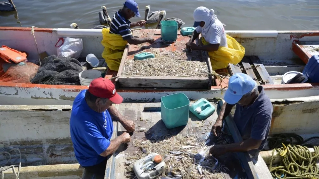 Los que se dedican a la pesca de robalo corren más riesgo al pasar la noche en altamar