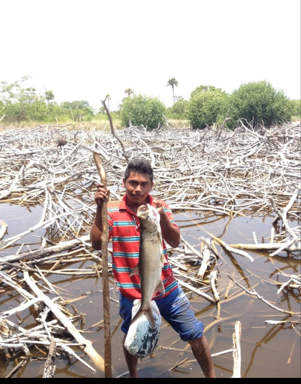 El pescado es por tradición uno de los alimentos más consumidos, lo que influye bastante en el gasto de las familias de la región. (