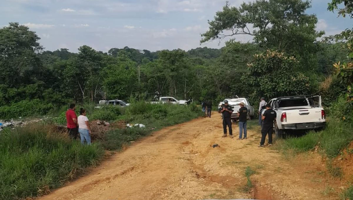 En un enfrentamiento en Veracruz capturan a sospechoso de desaparición de activista y mueren cuatro personas