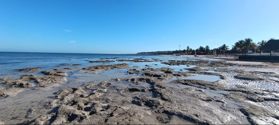 Un efecto luna generó una vaciante marina en Playa Bonita, según Conagua