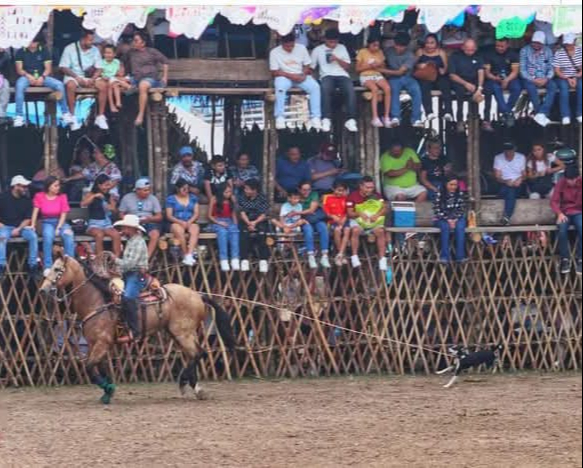 Aclaran supuesto maltrato a un perro en la Feria de Reyes de Tizimín