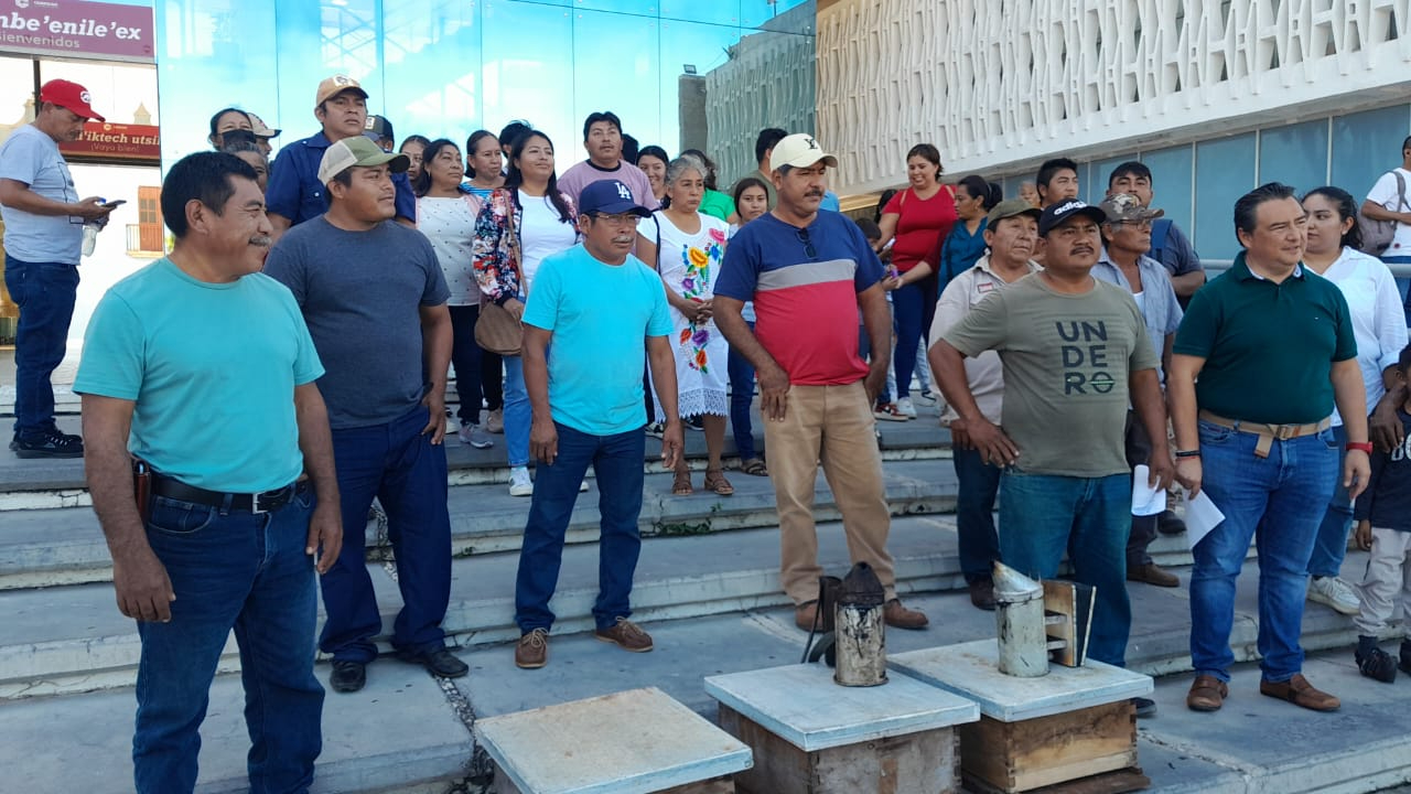 Apicultores y pobladores de Campeche exigen solución por enfermedades y mortandad de Abejas