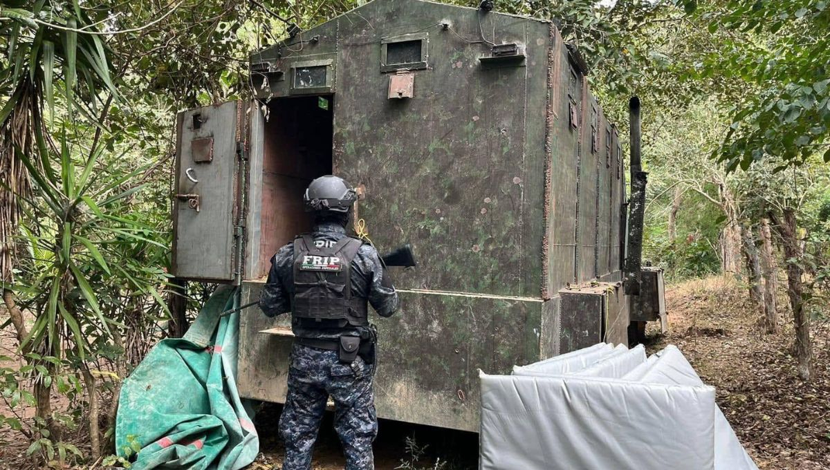 Durante el operativo también se catearon casas de seguridad utilizadas por los grupos criminales en la zona fronteriza