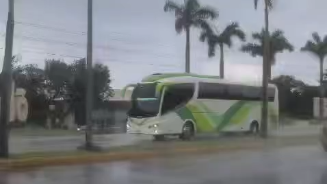 Trabajadores de la zona evitaron que el sujeto agrediera a los comerciantes y sus clientes con un cuchillo