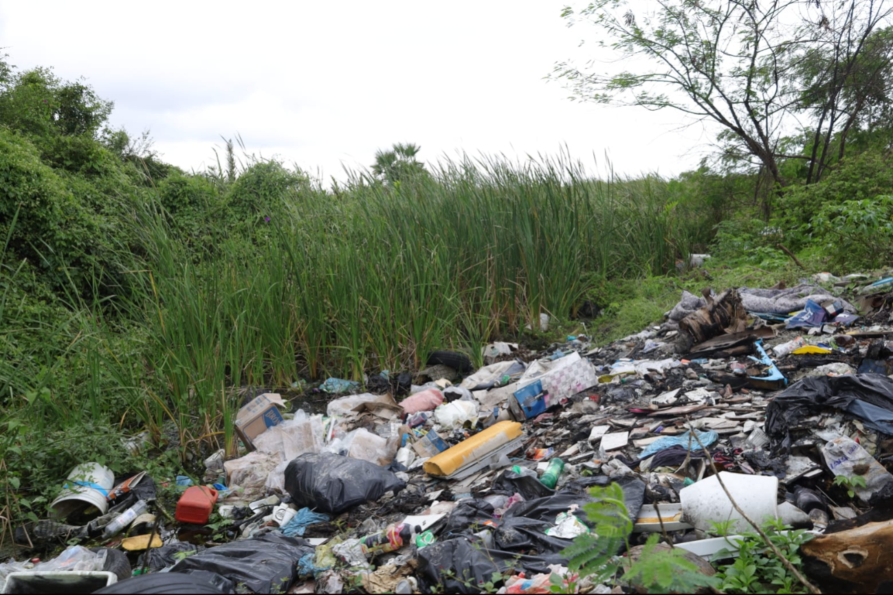 Basureros clandestinos en crecimiento; afectan la sabana de Chetumal