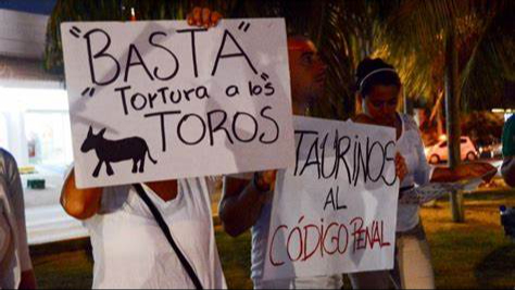 Las manifestaciones en contra de la corrida de toros y pelea de gallos siguen presentes