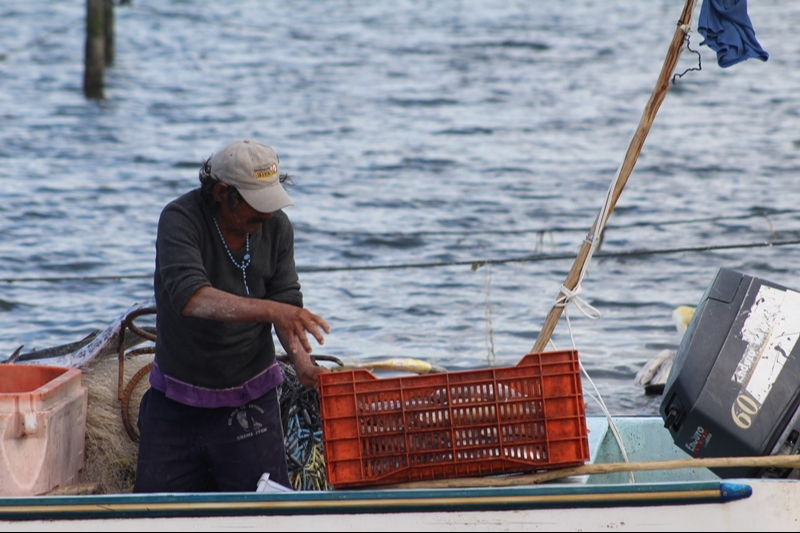 Reconocen que los mismos hombres de mar son los que han buscado alternativas para poder subsistir