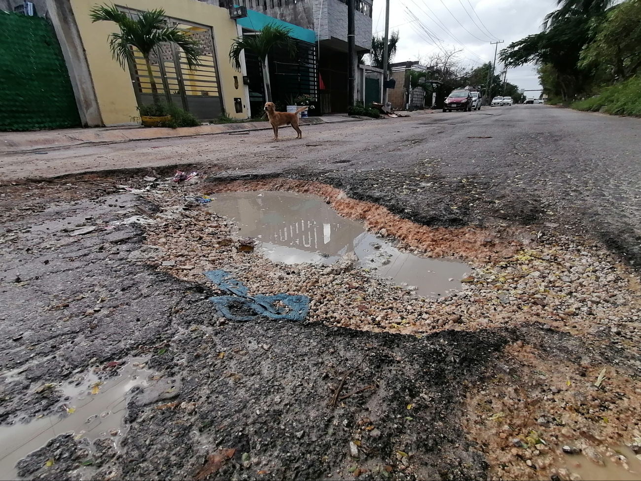 Los enormes baches han causado problemas a los automovilistas al conducir por la calle