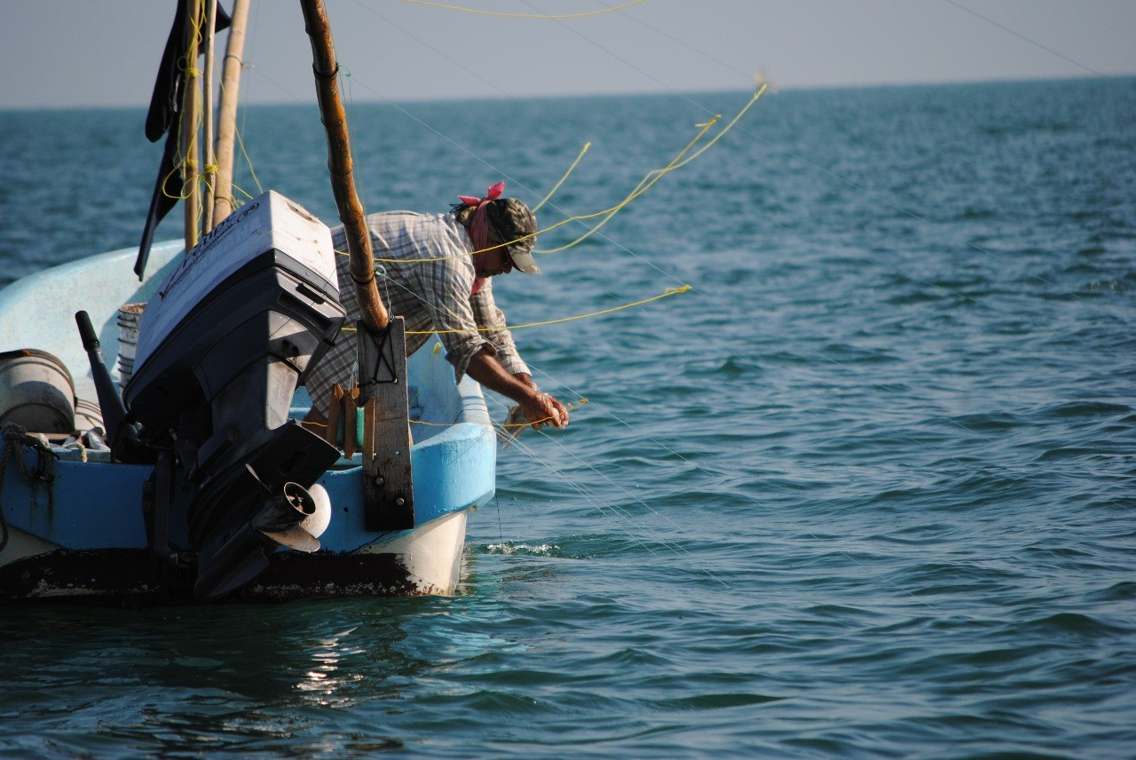 Frentes fríos y bajas ventas golpean al sector pesquero en Campeche