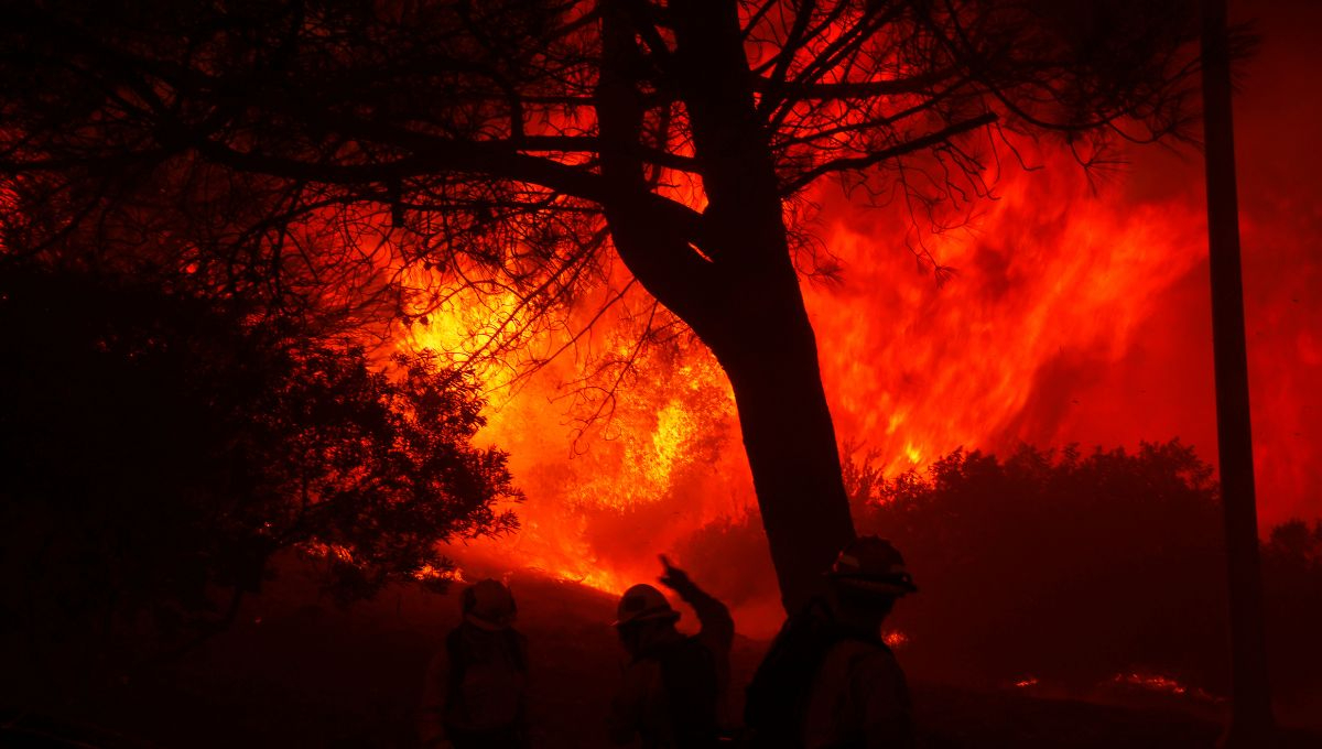 Los vientos, junto con las bajas temperaturas, dificultan el control de los incendios