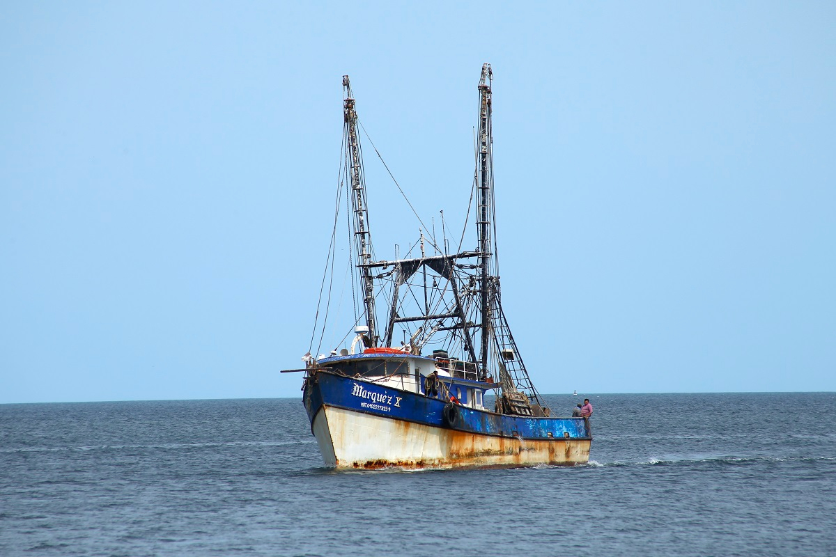 La pesca de altura reporta ocho días sin actividad; no han trabajado en todo lo que va del 2025