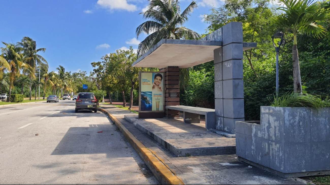 Autobuses insuficientes en la Zona Hotelera de Cancún dejan a turistas y personal sin servicio