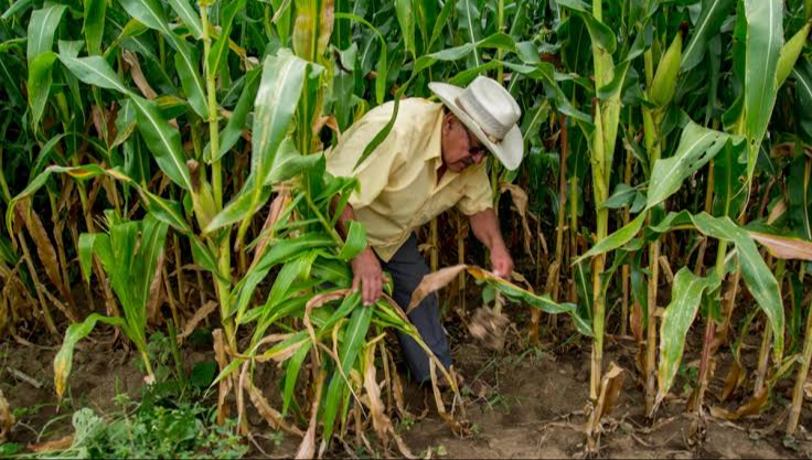 Pablo Duarte Sánchez ve la llegada de trabajadores agrícolas como una oportunidad de crecimiento pero destaca la falta de infraestructura